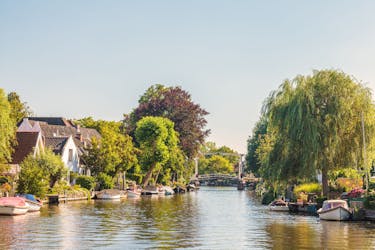 Private afternoon High tea cruise on Vecht river from Amsterdam